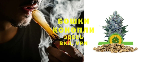 дживик Ладушкин