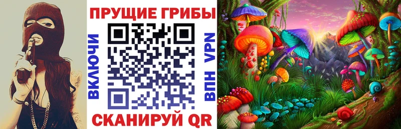 Псилоцибиновые грибы Psilocybine cubensis  Арзамас 