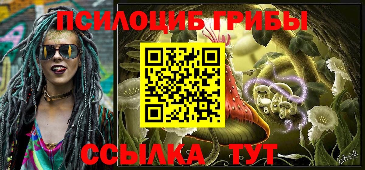 Псилоцибиновые грибы мицелий  Вход с VPN  Арзамас 
