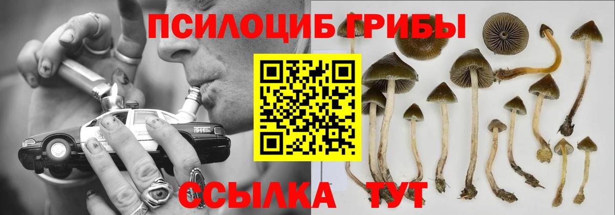 Галлюциногенные грибы Magic Shrooms Арзамас